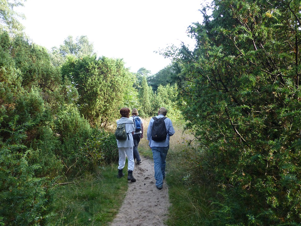KNNV excursie Lemelerberg [0522].jpg - KNNV excursie Lemelerberg